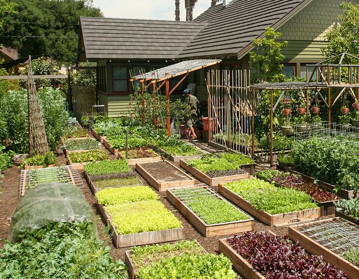 Sustainable Living: How to Get Started